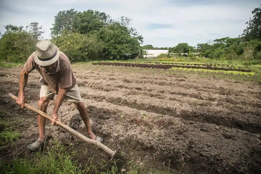 Aposentadoria rural do boia-fria