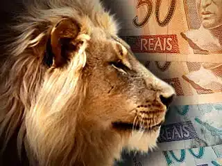 Segurados do INSS podem acessar comprovante de rendimentos na internet