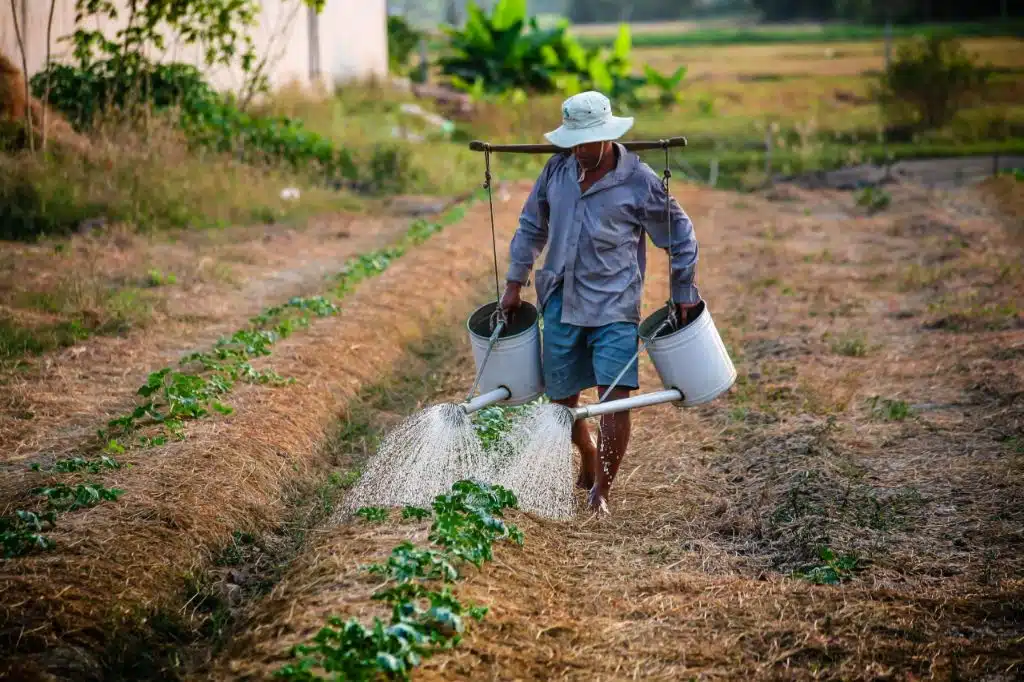 Justiça concede benefício por incapacidade a agricultor indígena